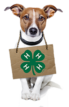 1 dog 4H sign 1 dog 4H sign