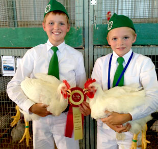 1-boys-chickens 4-H boys with their chickens